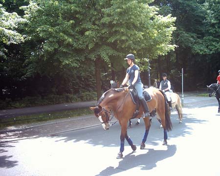 DSCK0021