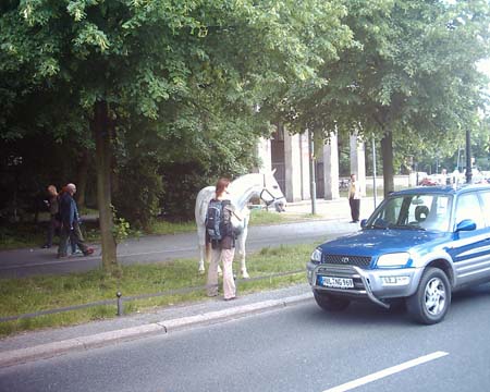 DSCK0036